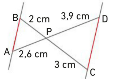 figure du 26 p206